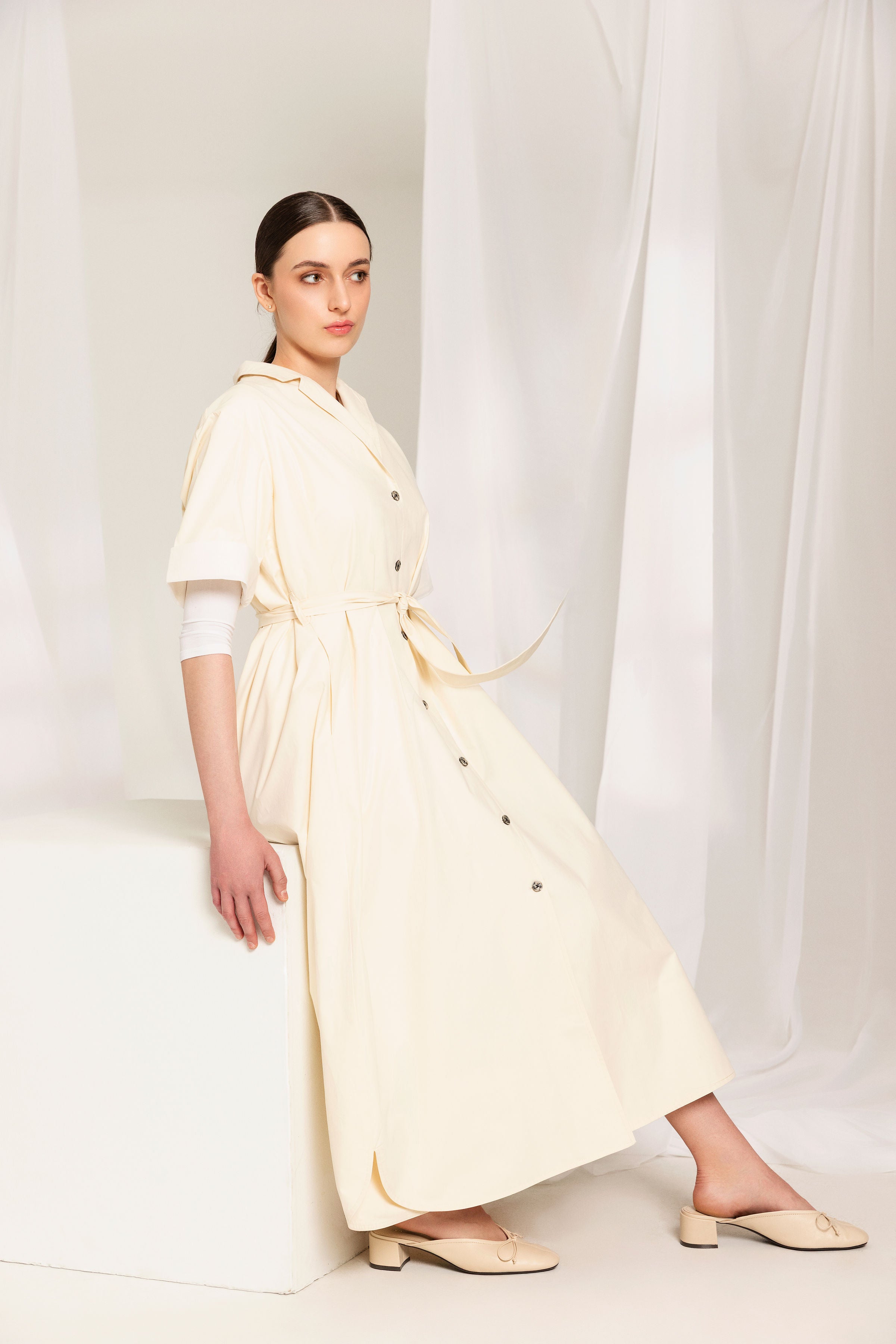 Poplin Dress